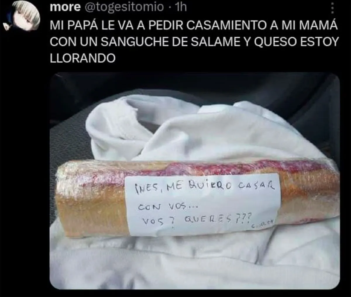 Luego de las pericias, la fiscal dispuso que los hijos de Borja vuelvan con sus padres