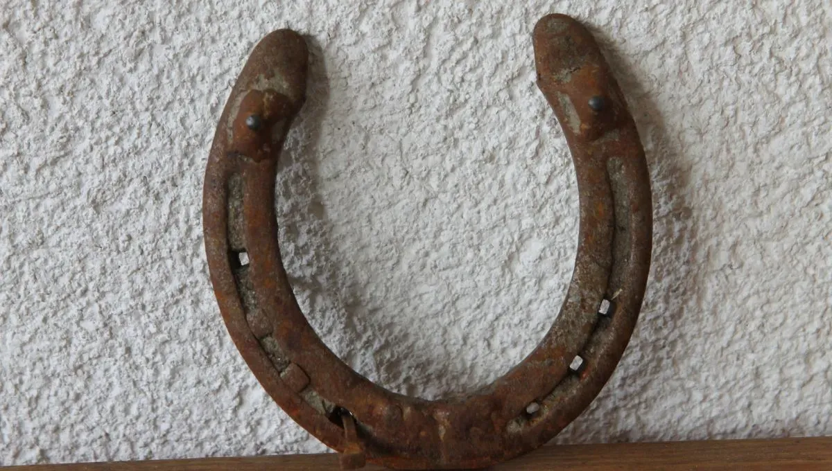 Macabro hallazgo: encuentran un feto en terreno baldío