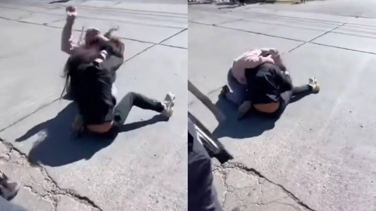 Madre castiga a su hijo rompiendo su consola por maltrato a un gato