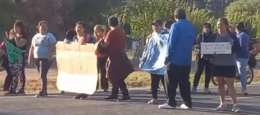 Manejaba el colectivo mirando el celular, atropelló a un ciclista y fue escrachado por los pasajeros. Video
