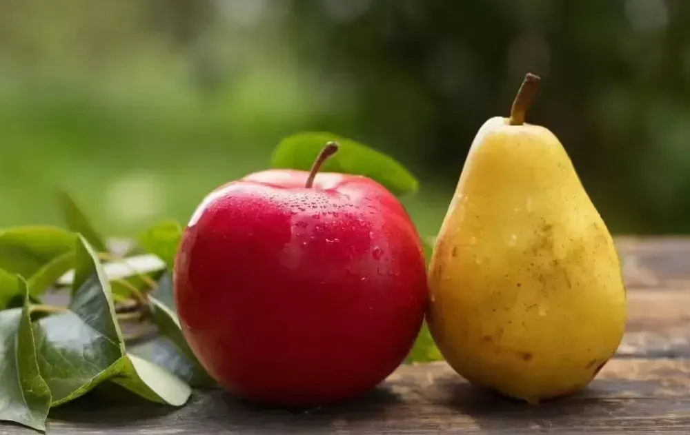 Manzanas vs. peras: qué fruta es mejor para controlar el azúcar en sangre