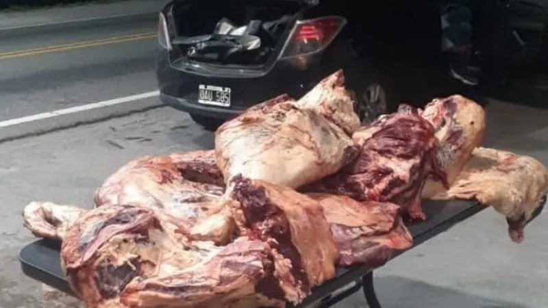 Mar del Plata: hombre de 80 años discutió con su pareja por dinero, le disparó 3 veces y se quitó la vida