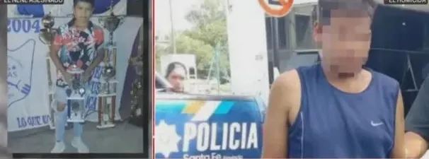 Mar del Plata: más de 20 mil gallinas murieron por gripe aviar
