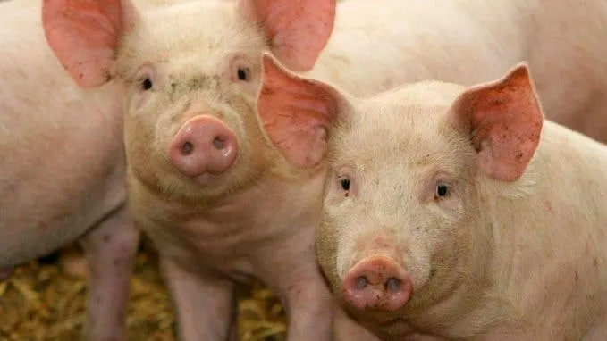 Martita Fort le puso los puntos a L-Gante tras un polémico comentario sobre su papá