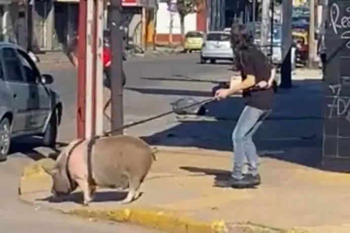 “Me desperté y me estaba tocando”: denunció que fue abusada por su mejor amigo
