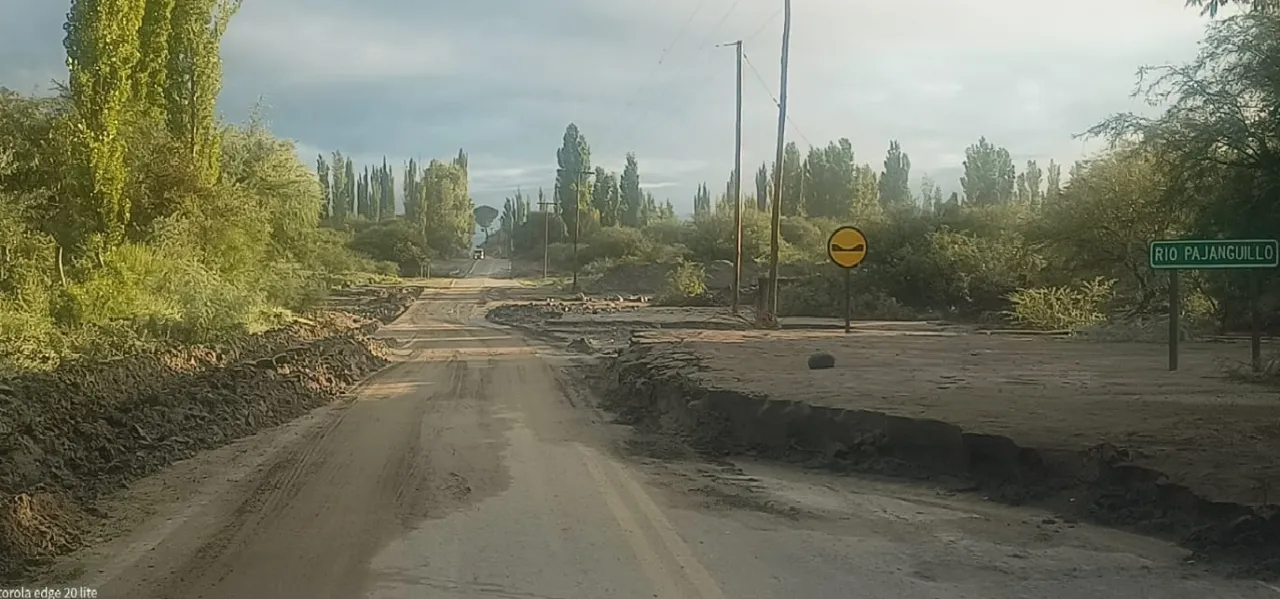 Milei transferirá la flota de aviones presidenciales a las Fuerzas Armadas