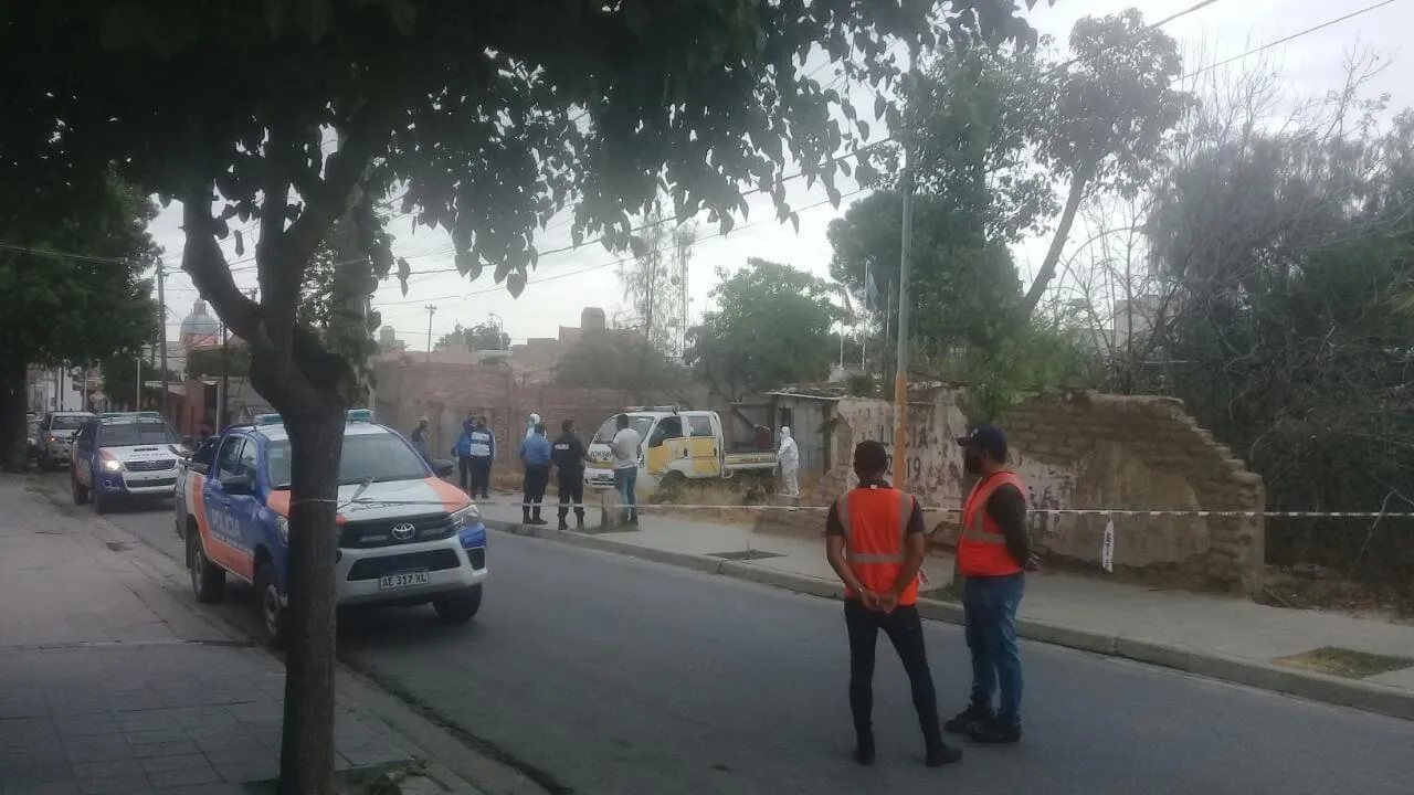 Millones de estadounidenses creen que la chocolatada viene de vacas marrones