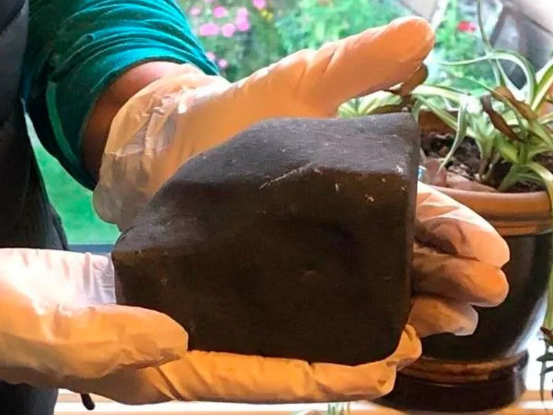 Mirá el cronograma completo de Vacunación COVID