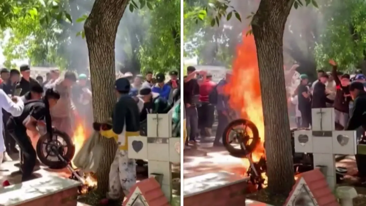 Misiones: autos volcados, caída de árboles y techos destrozados por el doble ciclón tropical llegado de Brasil