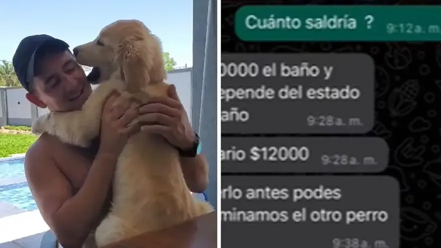 Modificaciones a la “ley de etiquetado frontal”