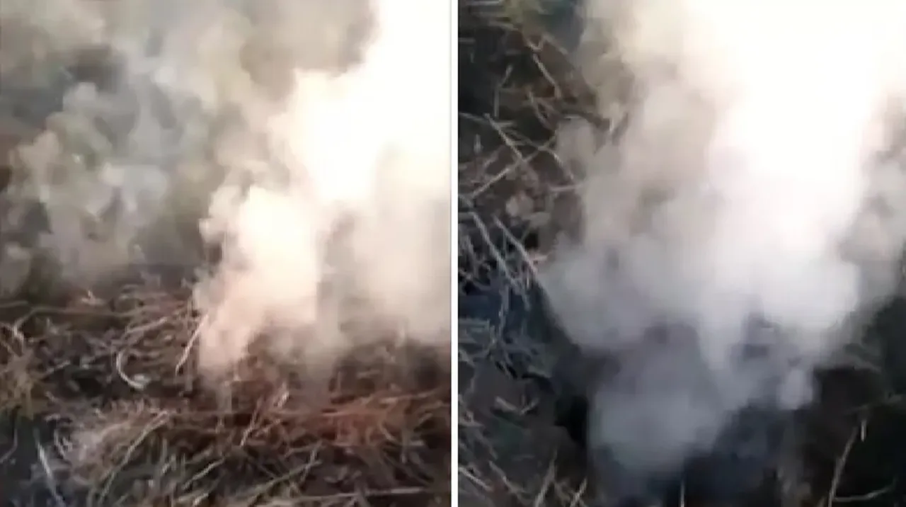 Molieron a golpes a una compañera "por cheta" y publicaron el video