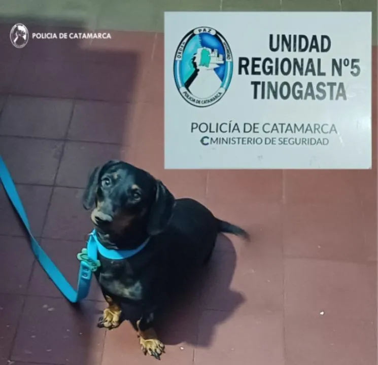 Mónica Millapi apuntó contra Laudelina Peña por la desaparición de Loan y fue contundente