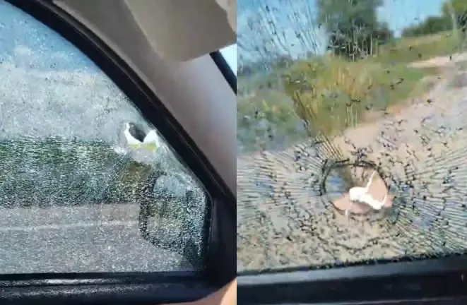 Mujer intentó ingresar con una botella de nafta a la Guardia de EC SAPEM