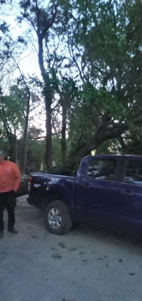 Mujer resultó lesionada en un siniestro vial