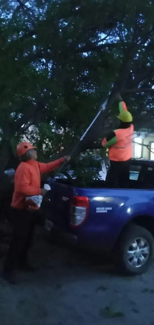 Mujer resultó lesionada en un siniestro vial