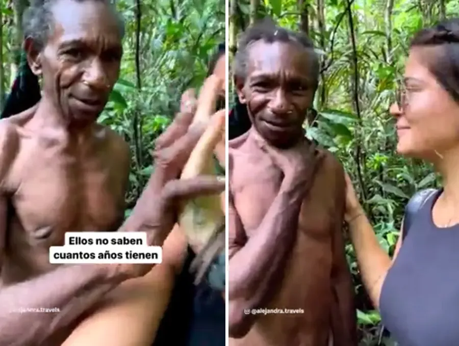 Murió tras ser atacada por dos dogos