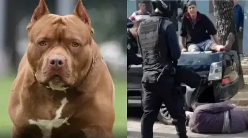 Netflix: la película de suspenso que tenés que ver
