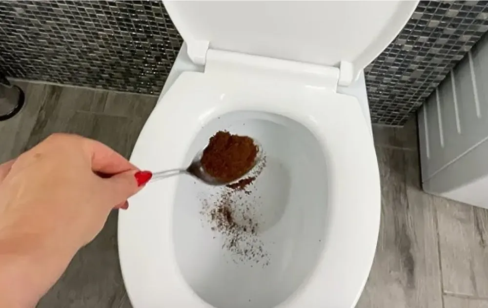 Ni harina ni azúcar, pero ideal para el mate: el budín de naranja