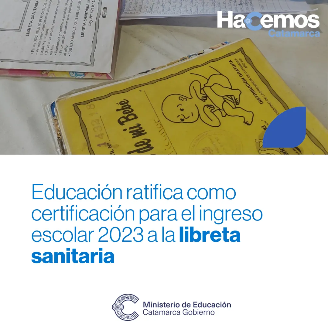 Niño de 7 años murió al sacar la cabeza por la ventana del colectivo y golpear con un poste