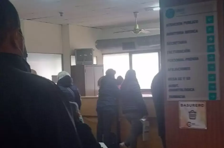“No compres un bulldog hasta que la raza haya cambiado de forma”, suplican los veterinarios