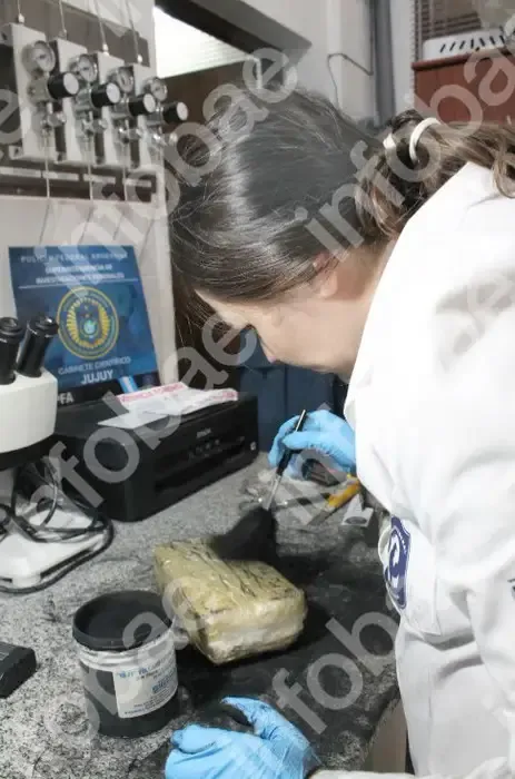 No es el polvo ni la humedad: los objetos que atraen polillas y bichos a tu hogar