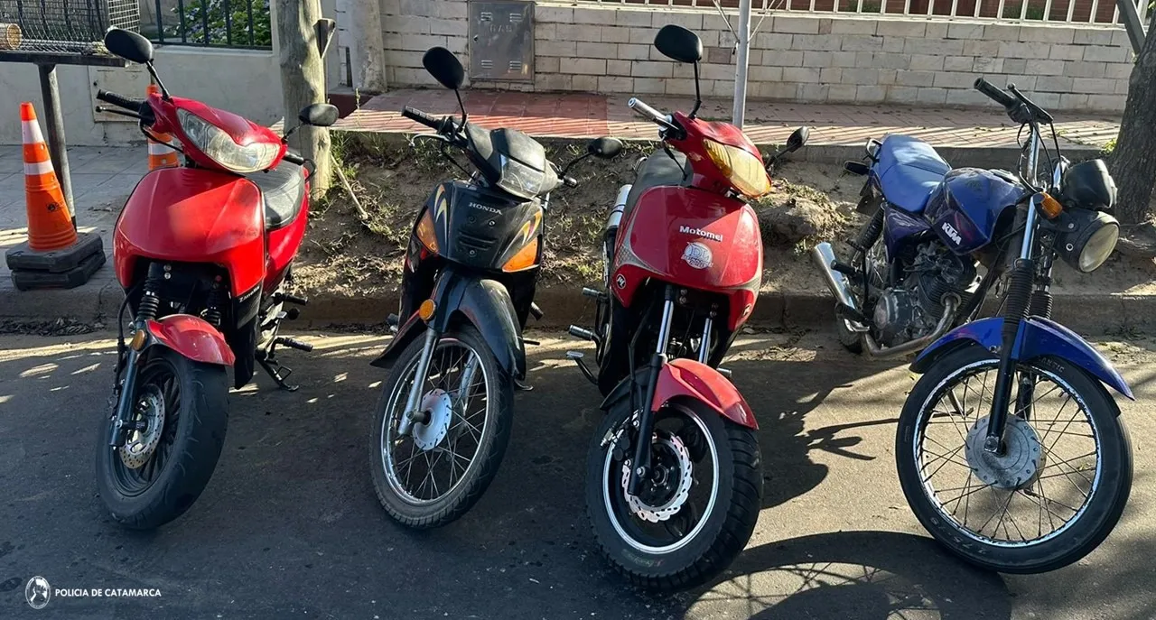 Nuevos profesionales