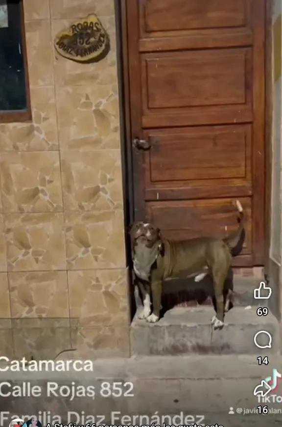 Olvídate de los hongos en tus uñas gracias a este truco casero
