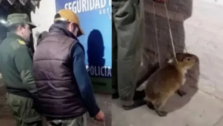 Operativo de Prevención para la Fiesta del Poncho 2025