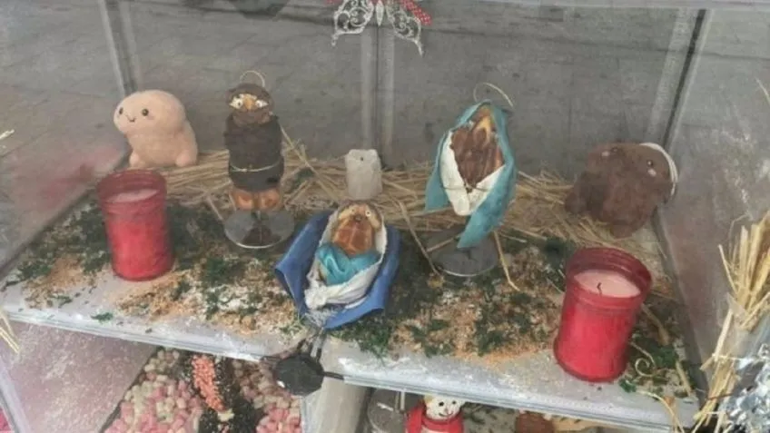 Otro aprehendido por causar un desorden en un boliche