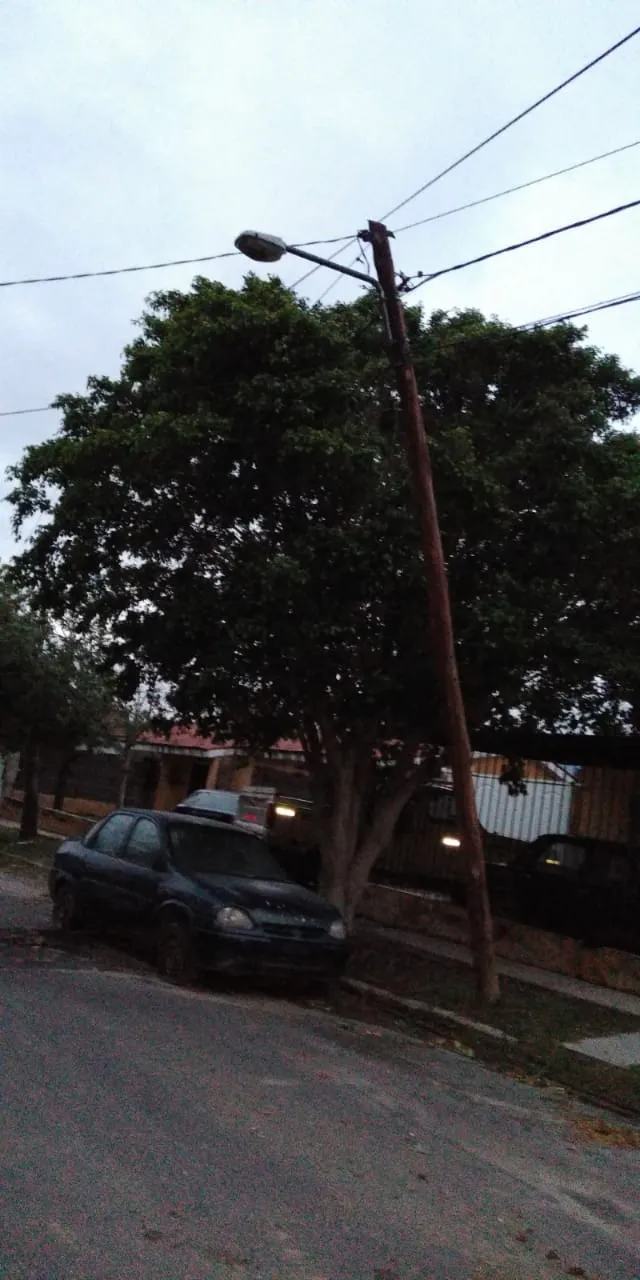 Otro femicidio: un camionero mató a golpes a una joven y luego la enterró