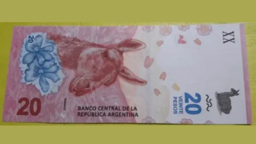 Pachu Peña habló del día que visitó uno de los centros de rehabilitación que promocionaba Teto Medina