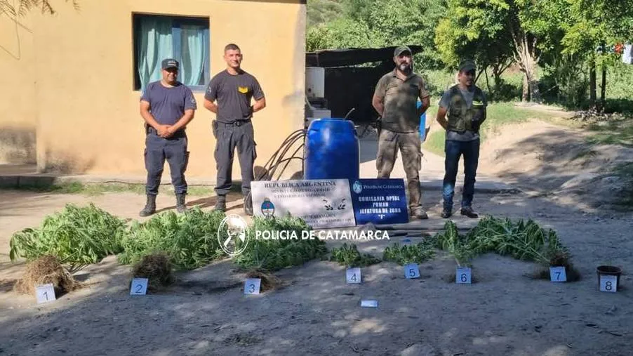 Pagan $17 mil a parejas: requisitos y cómo acceder al beneficio