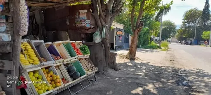“Papi, mi tío se metió en mi cama y me violó”
