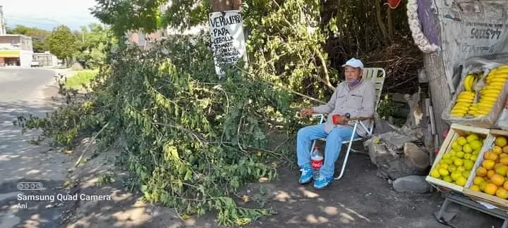 “Papi, mi tío se metió en mi cama y me violó”