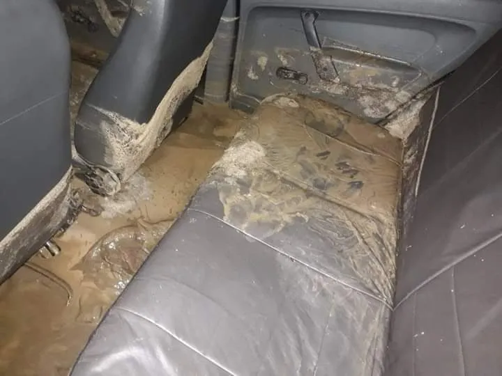 Pasajera en vuelo se despierta y encuentra a un hombre acariciándola