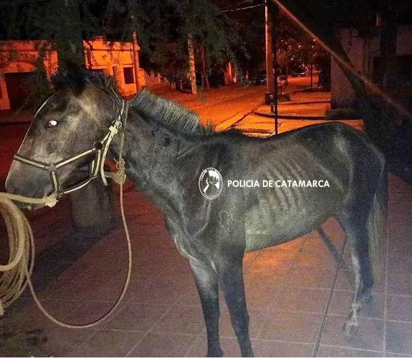 Pasó la noche con una chica y le llegó por error un mensaje de ella opinando sobre la cita