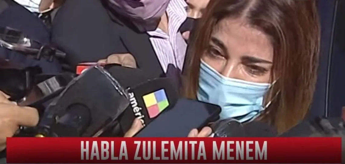 ¿Pato o conejo?