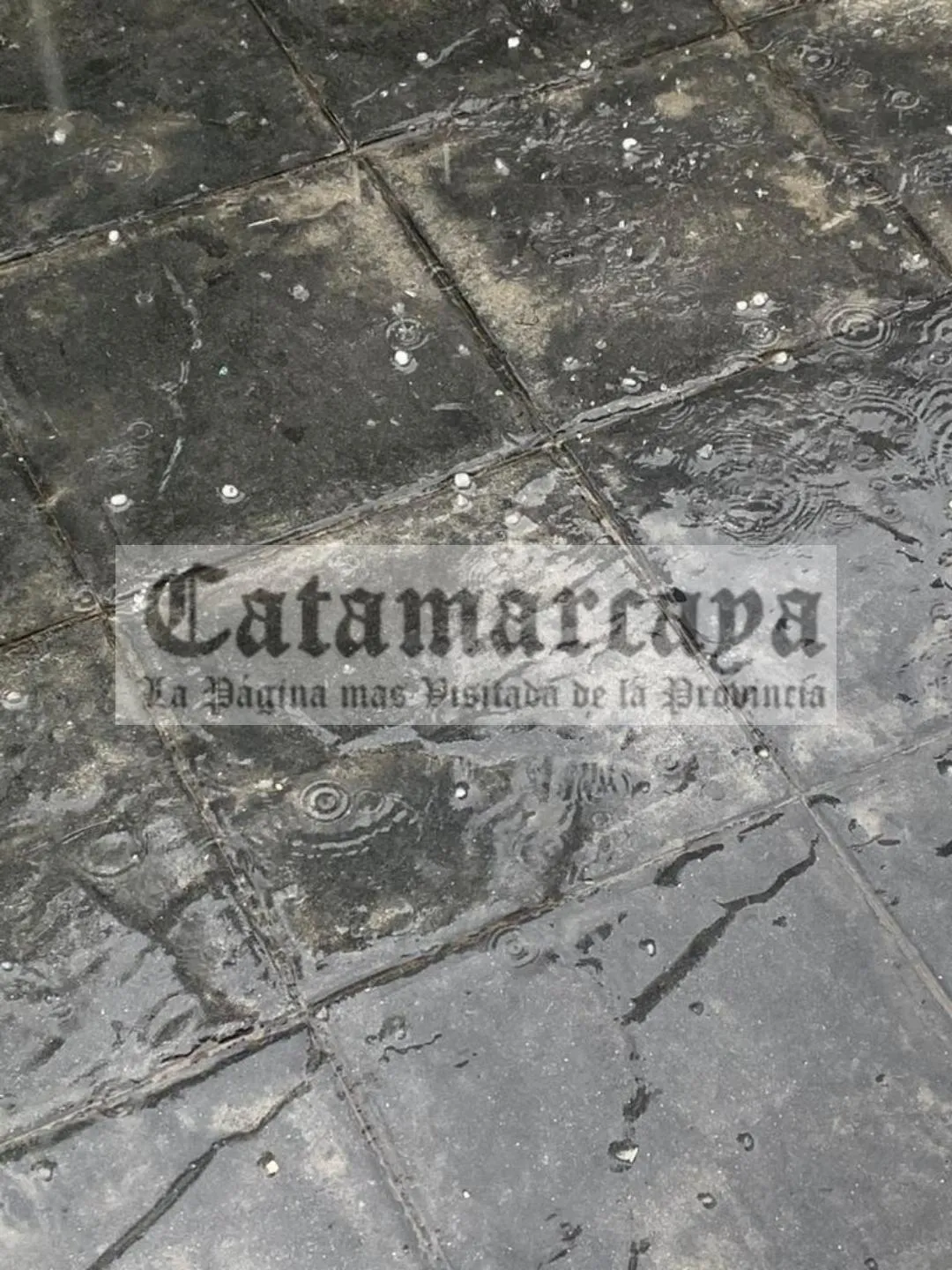 Patrulla de la Fuerza detecta en el monte aves silvestres enjauladas