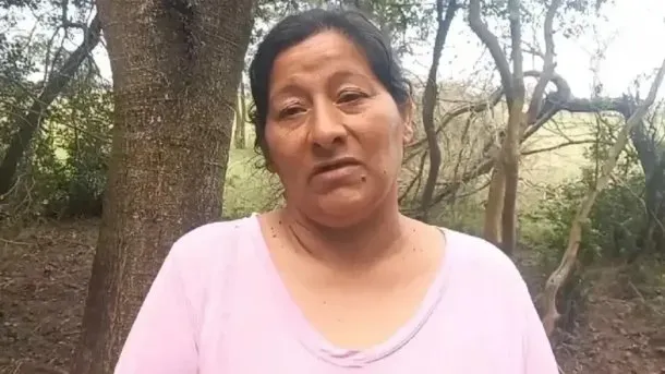 Pepas saludables, con harina integral y sin azúcar