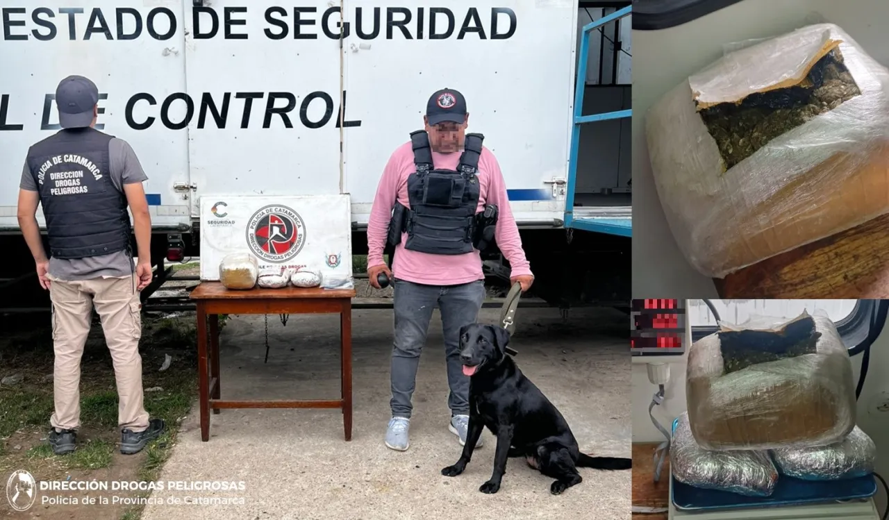 Peregrinos chocaron en Ruta 38