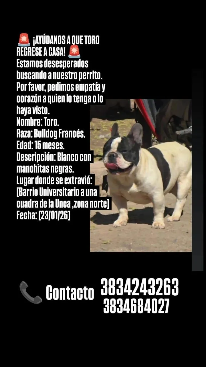 Pesar por el fallecimiento de una muy querida vecina