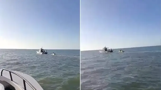 Pescadores capturaron un pacú gigante en el Paraná