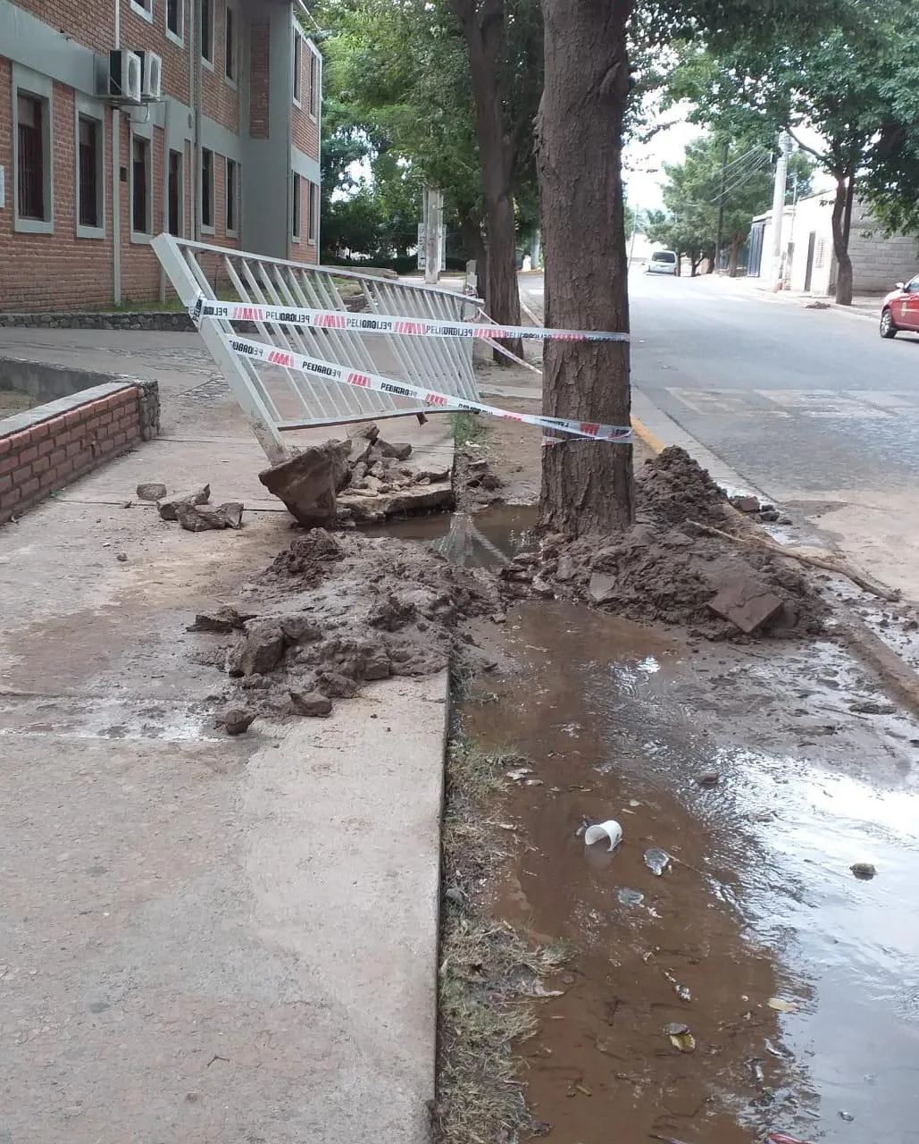 Pidió ñoquis y quedó indignada con lo que le llevaron
