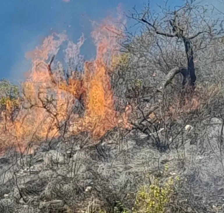 Piñas, punta pié y pedradas en el Sur de la Capital