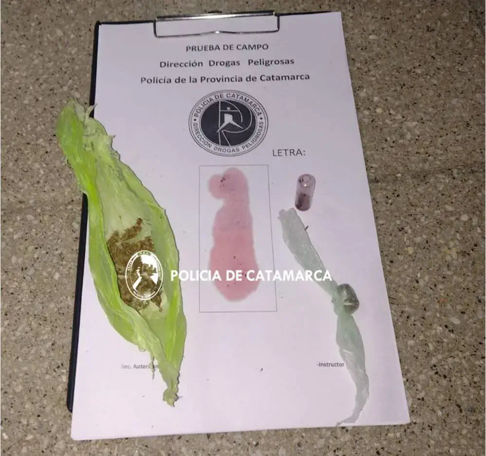 Policías secuestraron Marihuana en Valle Viejo