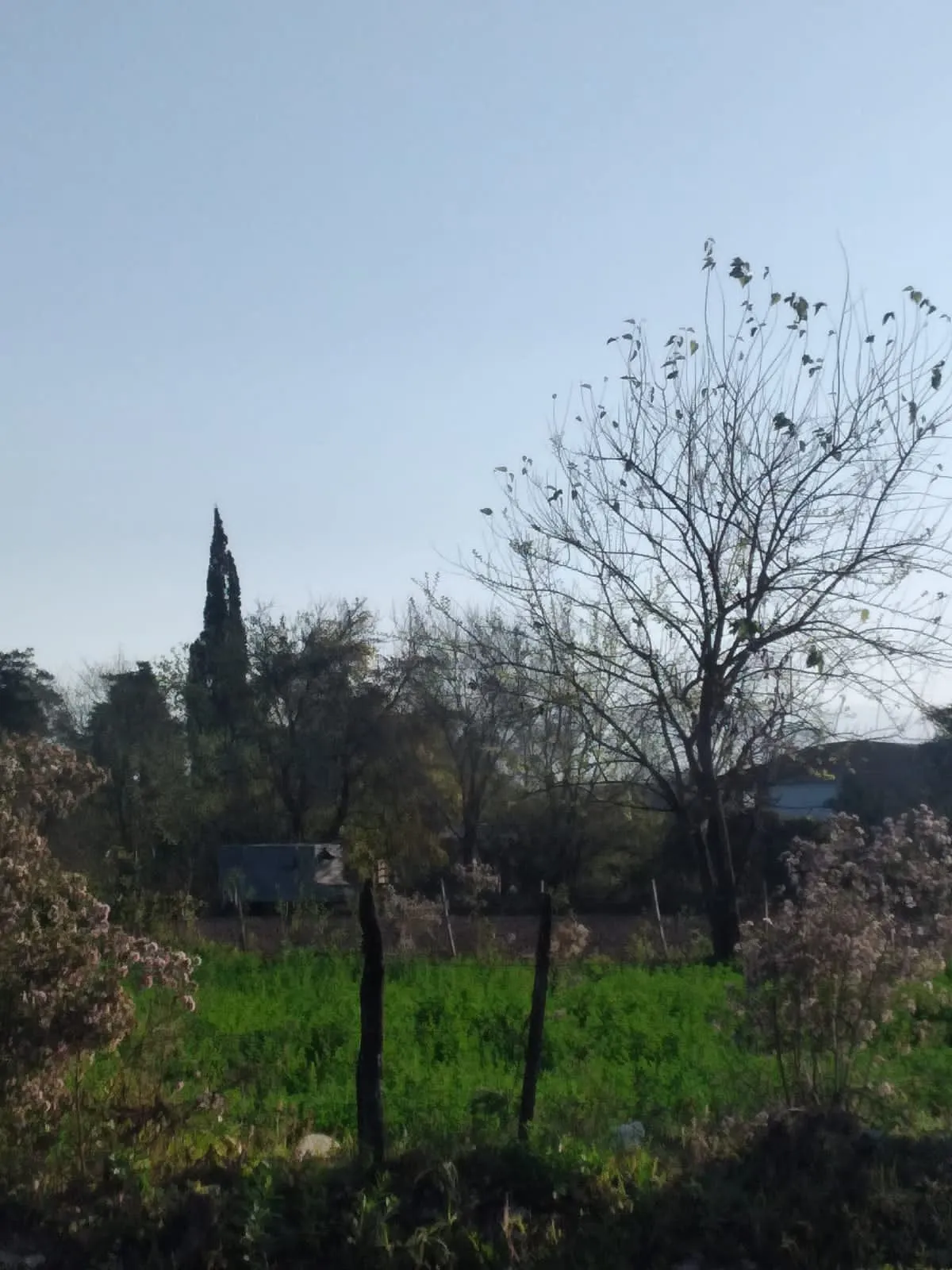 Policías sofocaron un incendio de una vivienda en la Capital