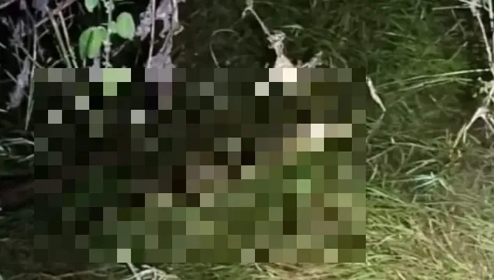 Poncho 2023: Convocatoria a locutores y artistas regionales