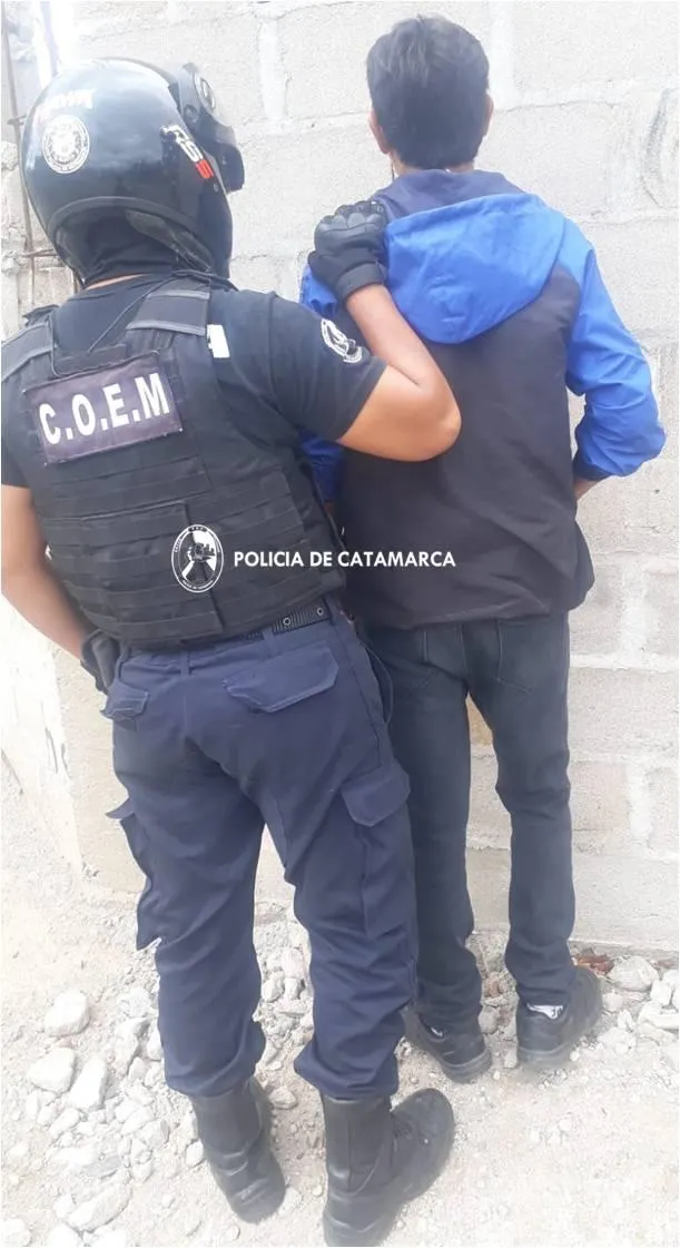 Preocupación en Salta por un nuevo caso de encefalomielitis equina