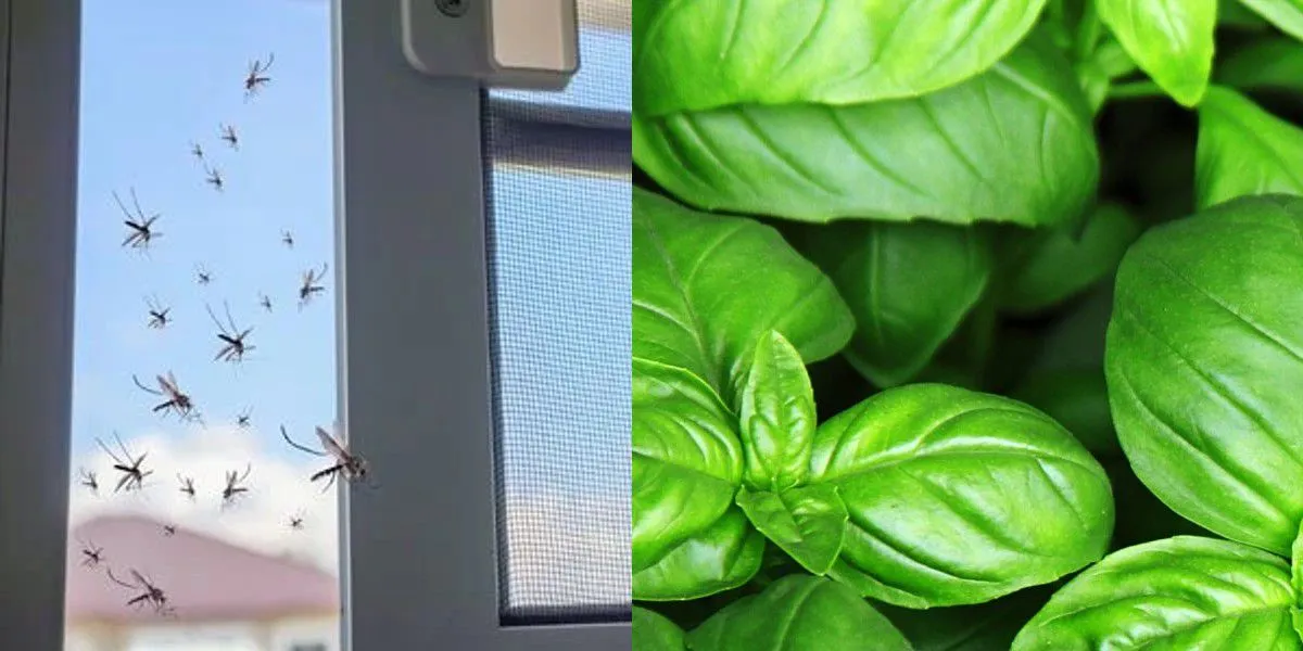 Proponen declarar feriado el 2 de Mayo porque el 01 cae domingo