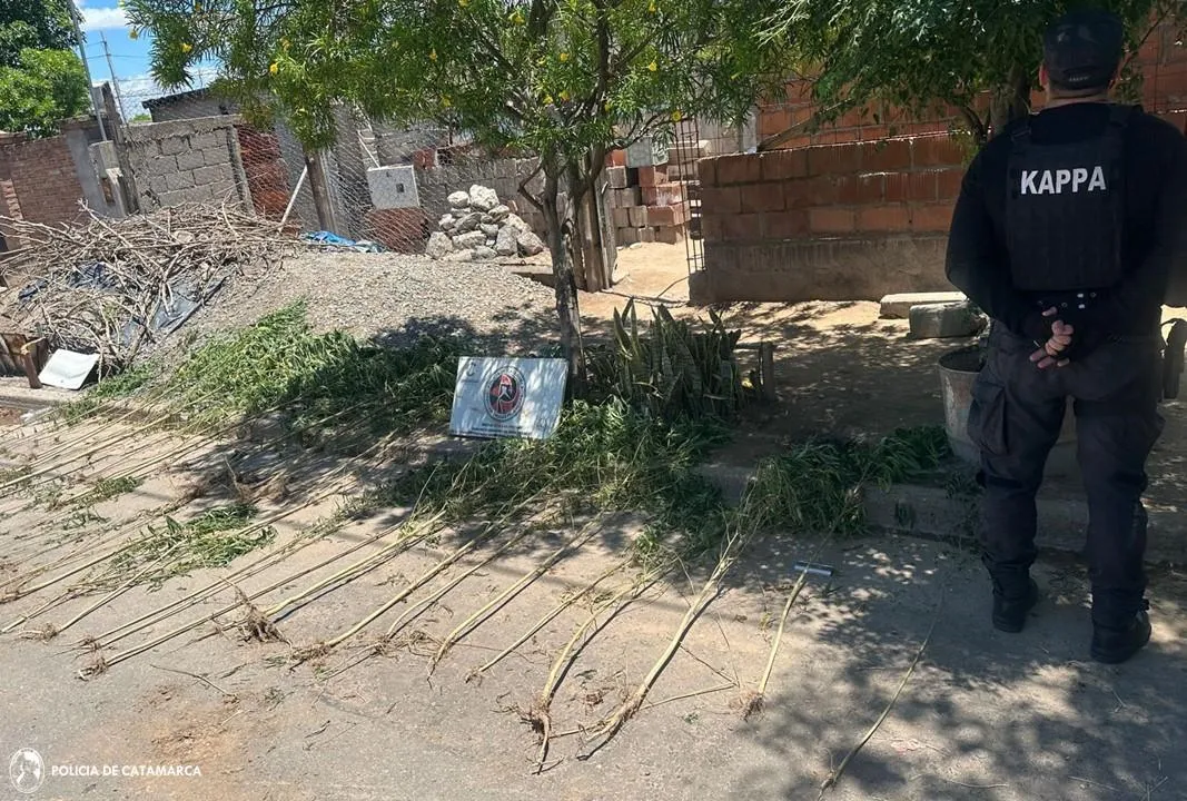 Qué dijo Juana Viale luego de ser señalada como la nueva pareja de Mauricio Macri